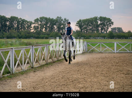 Bellissima giovane fantino femmina su un cavallo all'esterno. Atleta femminile passeggiate a cavallo il maneggio aperto Foto Stock