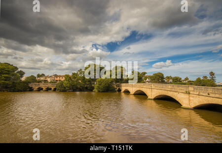 Parque Natural de la Albufera de Mallorca, Can Picafort, Maiorca (Mallorca), isole Baleari, Spagna Foto Stock