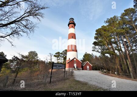 Assateague Maryland faro senza pony allevamento nel periodo invernale Foto Stock