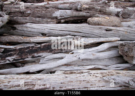 Rustico grigio spiovente driftwood lavato fino a una spiaggia facendo una consistenza naturale sfondo con spazio di copia Foto Stock