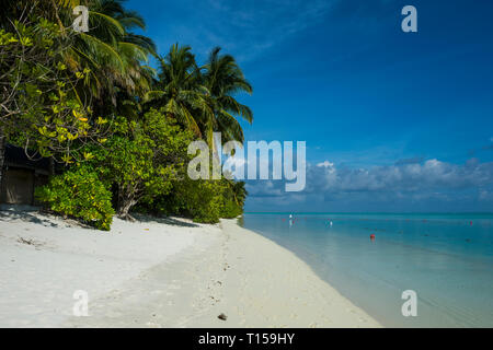 Maledives, Ari Atoll, Nalaguraidhoo, l' Isola del Sole, spiaggia e vegetazione Foto Stock