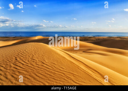 Giallo intatte le dune di sabbia sotto l'erosione di vento sulla Stockton Beach della costa del Pacifico in Australia rivolta verso il mare aperto sotto il cielo blu. Foto Stock