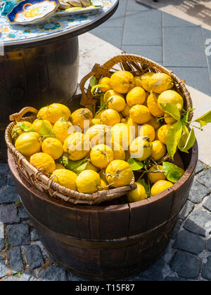 L'Italia, Ischia, cesto con limoni freschi sulla Piazza Marina Foto Stock