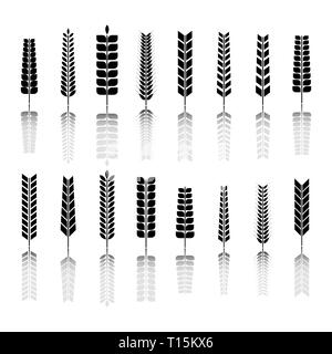 Set di varie spikelets di grano. Silhouette in nero su sfondo bianco, illustrazione vettoriale. Illustrazione Vettoriale