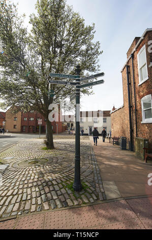 Molla albero di blossom nel mercato di Beverley, al mercato del sabato, East Yorkshire, 23 marzo 2019, Inghilterra, Regno Unito, GB. Credito: Alan Mather/Alamy Live News Foto Stock