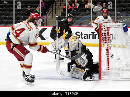 Marzo 23, 2019 Denver pionieri in avanti Jarid Lukosevicius (14) punteggi un obiettivo su Colorado College Tigers goaltender Alex Leclerc (1) nel primo periodo della NCHC congelati Faceoff terzo posto gioco tra il Colorado College Le tigri e i pionieri di Denver all'Xcel Energy Center, St. Paul, MN. Foto di Russell Hons/CSM Foto Stock