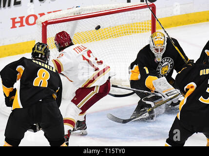 Marzo 23, 2019 Denver pionieri in avanti Liam Finlay (13) punteggi il suo secondo obiettivo del gioco durante il terzo periodo del NCHC congelati Faceoff terzo posto gioco tra il Colorado College Le tigri e i pionieri di Denver all'Xcel Energy Center, St. Paul, MN. La sconfitta di Denver Colorado College 6-1. Foto di Russell Hons/CSM Foto Stock