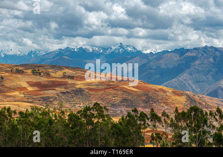 Agricoltura paesaggio con campi terrazzati nei villaggi rurali della Valle Sacra degli Inca, regione di Cusco, Perù. Foto Stock