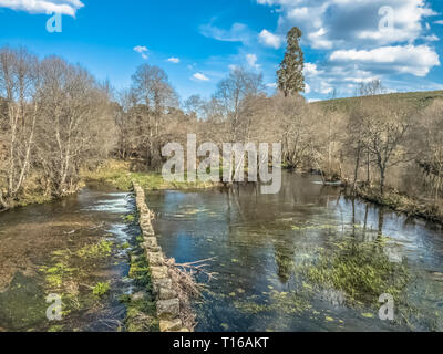 Vista aerea del drone, lago artificiale e una densa foresta sulle rive, in Portogallo Foto Stock