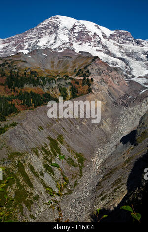 WA16005-00...WASHINGTON - Vista di detriti coperti capolinea della Nisqually Glacier da un punto di vista lungo la Nisqually Vista sentiero in Mt Rainier NP. Foto Stock