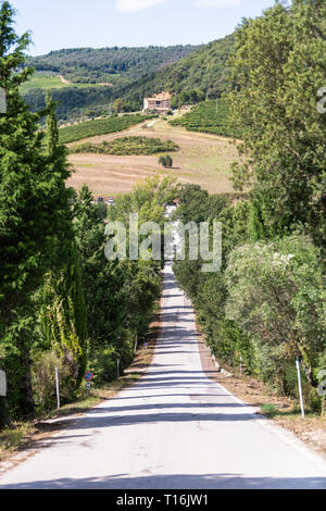 Vista verticale dell Abbazia di Sant Antimo ex monastero benedettino nel comune di Montalcino, Toscana con la strada che conduce alla chiesa Foto Stock