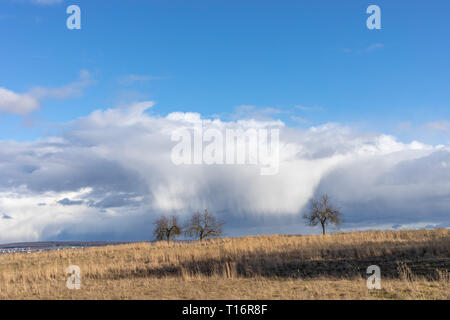 Campi verdi e blu del cielo su Assia in Germania Foto Stock