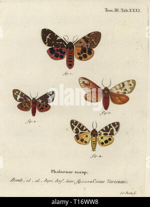 Giardino tiger moth o grande tiger moth varietà, Arctia caja. Phalaena Caia. Handcolored incisione su rame di Johann Carl Bock da Eugenio Johann Christoph Esperâ€™s Die Schmetterlinge in Abbildungen nach der Natur, Erlangen, 1786. Foto Stock