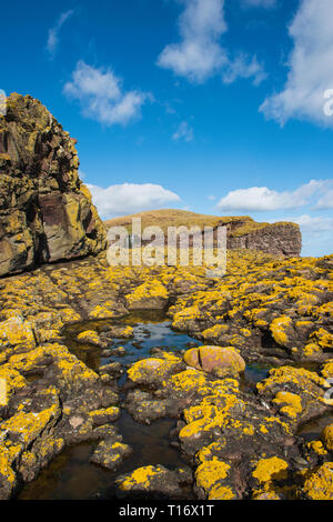 Shore lichen coperto rocce e dirupi a RSPB Fowlsheugh riserva, a sud di Stonehaven, Aberdeenshire, Scozia. Foto Stock