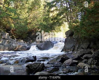 Maine ruscello di montagna con le rapide e rocciosa e alberata rive scorre rapidamente attraverso una caduta nel letto del fiume come teste ad un organismo più grande di acqua. Foto Stock