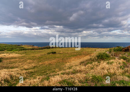 Vista paesaggi che circondano Cape Manzamo in Okinawa, in Giappone. Foto Stock