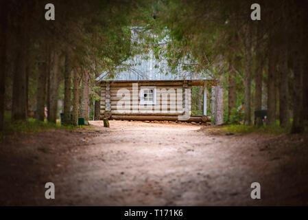 Emplty sabbia curvo sentiero forestale in estate. Gli alberi ai lati della strada e la vecchia casa in background Foto Stock