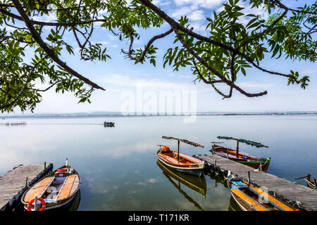 Valencia Albufera, gruppo guida turistica in barca, gita sul lago, Parco Naturale Albufera Valencia Spagna Parco Nazionale Europa Foto Stock