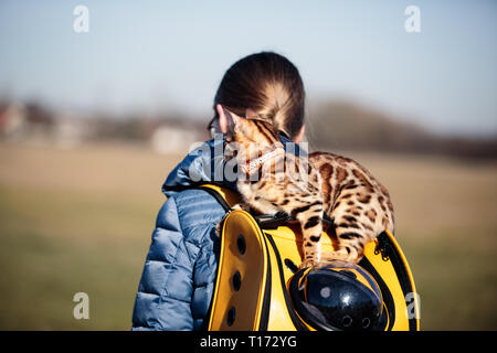 Escursioni con bambini e Cat su una soleggiata giornata di primavera Foto Stock