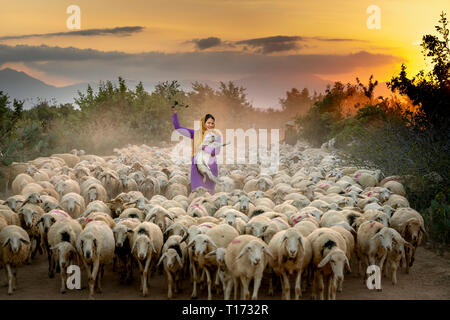 Allevamento di pecore, Binh Thuan Provincia, Viet Nam-February 16, 2019: la splendida immagine di un grande gregge di ovini tornando al fienile al tramonto, dopo una giornata di Foto Stock