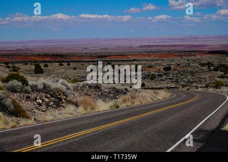 La strada si snoda attraverso il Deserto Dipinto in Northern Arizona. Foto Stock