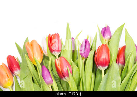 Bouquet di tulipani isolati su sfondo bianco Foto Stock