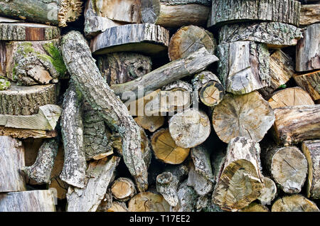 Close-up di vecchi tronchi grezzi tagliati a trama logs impilati per la legna da ardere, England, Regno Unito Foto Stock