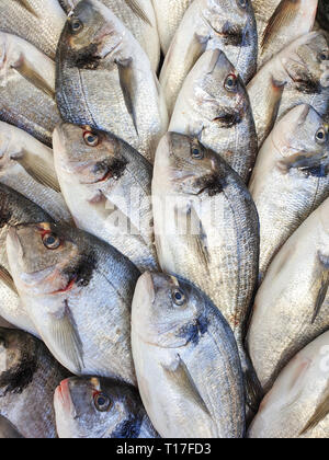Molti pesci orate su ghiaccio per la vendita di pesce sul mercato locale di stallo con piatti a base di frutti di mare freschi,vista dall'alto. Foto Stock