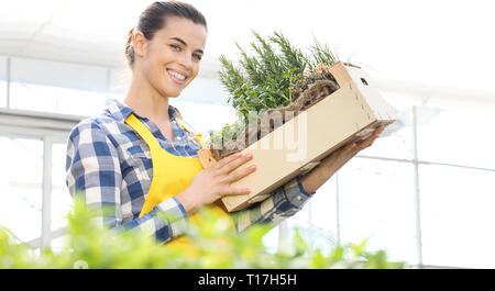 Donna sorridente con scatola di legno piena di erbe aromatiche spezie su sfondo bianco, spring garden concept Foto Stock