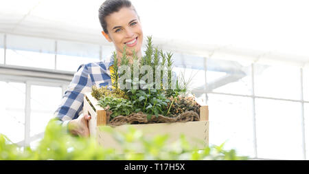 Donna sorridente con scatola di legno piena di erbe aromatiche spezie su sfondo bianco, spring garden concept Foto Stock