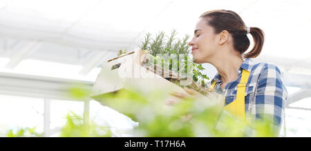 Donna sorridente odore di spezie aromatiche erbe su sfondo bianco, spring garden concept Foto Stock