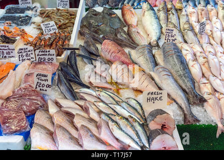 Diversi tipi di pesci e gamberetti per la vendita in un mercato di Brixton, Londra Foto Stock