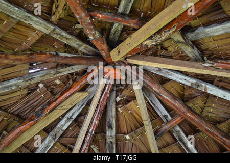 Strutturale del tetto con sago palm sul tetto. Foto Stock