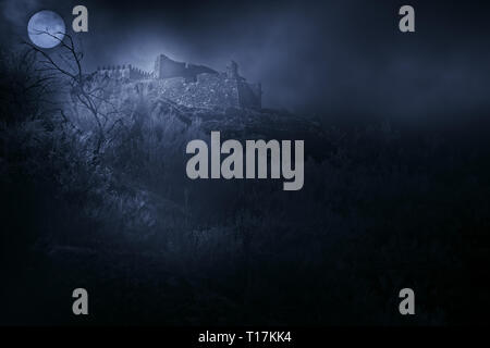 Il vecchio castello europeo in una nebbiosa notte di luna piena Foto Stock