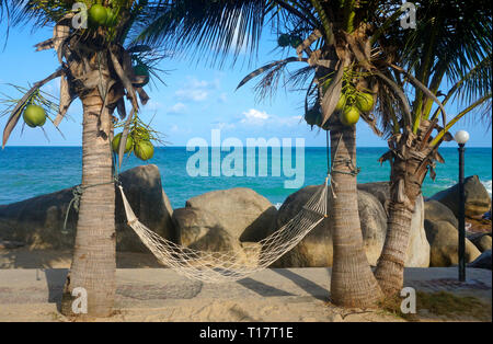 Amaca tra due palme di Lamai Beach, Koh Samui, Golfo di Thailandia, Tailandia Foto Stock