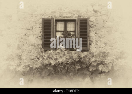 Un vigneto nella regione Toscana, Italia. Foto Stock