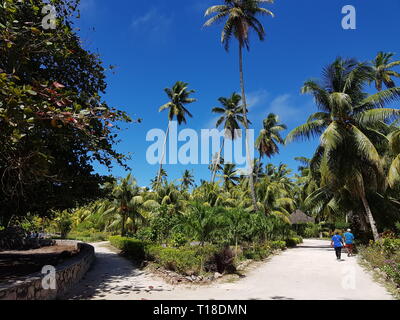 Parco con palme sull'isola di La Digue in Oceano Indiano Foto Stock