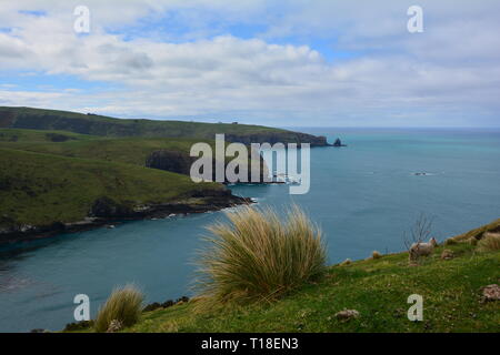 Vista in elevazione della baia delle pulci e sulle colline circostanti Foto Stock