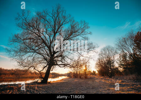 Nero scuro sagome di alberi senza foglie su un sfondo di splendidi e vibranti Primavera Cielo di tramonto. La natura del Parco di latifoglie vicino al fiume Foto Stock