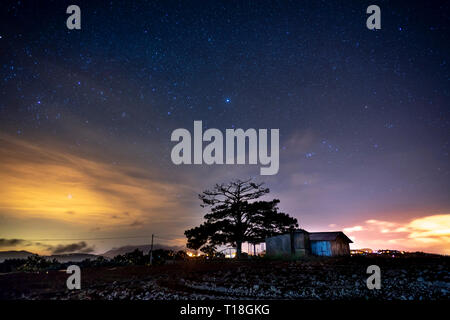 Notte stellata paesaggio con alberi e la piccola casa, da Lat, Viet Nam Foto Stock