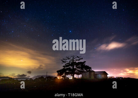 Notte stellata paesaggio con alberi e la piccola casa, da Lat, Viet Nam Foto Stock