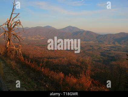 Picchi di lontra in autunno, Virginia Foto Stock