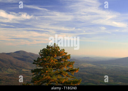 Picchi di lontra in autunno, Virginia Foto Stock