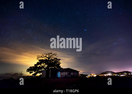 Notte stellata paesaggio con alberi e la piccola casa, da Lat, Viet Nam Foto Stock