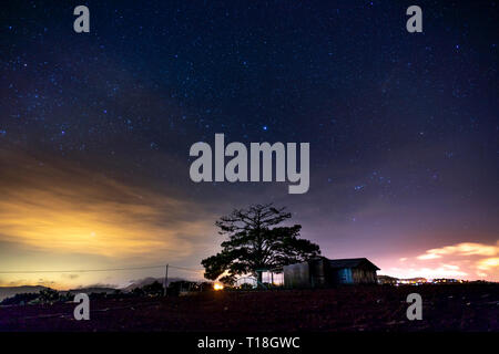 Notte stellata paesaggio con alberi e la piccola casa, da Lat, Viet Nam Foto Stock
