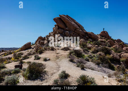 Il paesaggio del deserto sullato escursione da pioppi neri americani la molla alla perdita di oasi di palme - Joshua Tree National Park, California Foto Stock