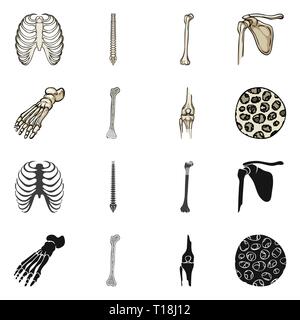 Nervatura,colonna vertebrale,femore,piedi,fibre,gabbia,chiropratica,rotto,bacino,caviglia,,ossea sana,xray,backbone,fibula,hip,gamba,scientific,corpo vertebrale,,shin,pelvico podologia,,GINOCCHIO,muscolo,l'osteoporosi,tibia,l'avampiede,l'epitelio,sterno,postura,medicina clinica,,biology,medical,osso,skeleton,anatomia umana,,organi,impostare,vettore,icona,immagine,isolato,raccolta,design,l'elemento,graphic,segno vettori vettore , Illustrazione Vettoriale