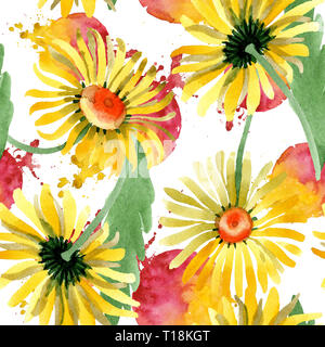 Giallo daisy botanico floreale di fiori. Acquerello illustrazione dello sfondo impostato. Perfetta configurazione di sfondo. Foto Stock