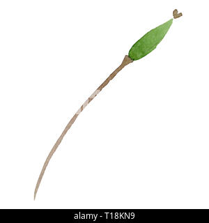 Papavero turchese floreale di fiori botanica. Acquerello illustrazione dello sfondo impostato. Isolate il papavero illustrazione elemento. Foto Stock