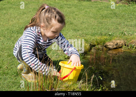 Giovane ragazza di immersione laghetto in giardino wildlife pond rimozione girini nei bambini la benna, sette anni. Regno Unito. Marzo. Foto Stock